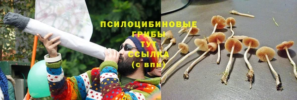 мет Верхний Тагил
